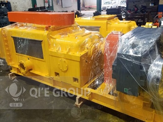 small scale 10-30tpd palm kernel oil extraction plant detail and price