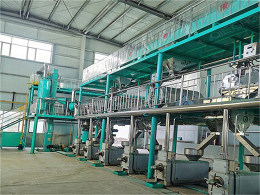 palm oil milling machine – palm oil expeller price