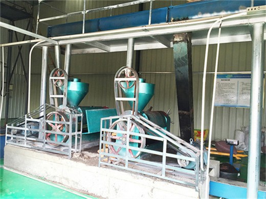 methods in palm oil extraction plants