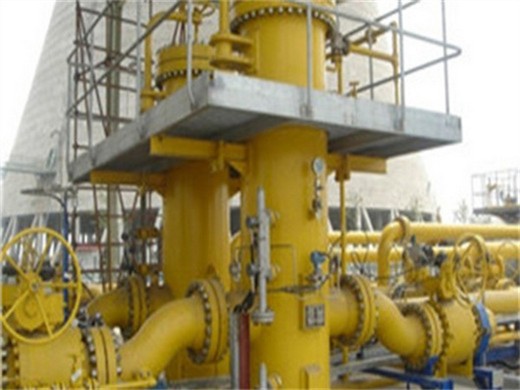 palm oil press vegetable oil press walnut oil cost