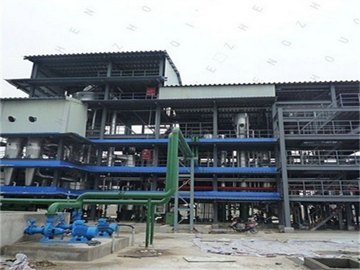 china hydraulic oil press palm kernel in India