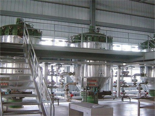 large scale multifunctional palm oil press machine in Nigeria