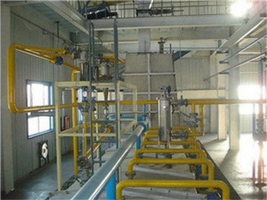 electric big palm oil press production line korea in brazil