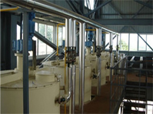 2025 new advanced palm edible oil making machines in Nigeria