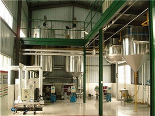 china palm-oil-production-line manufacturers factory in Gabon