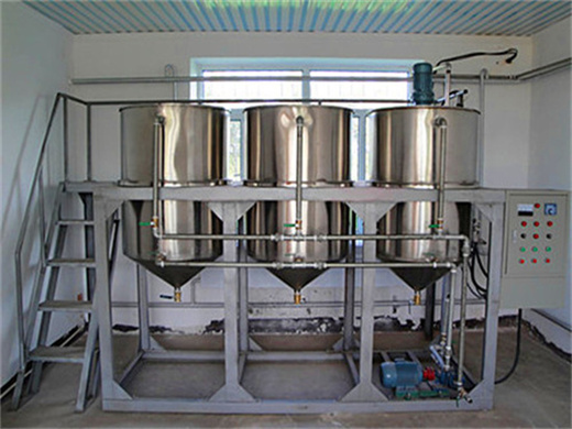 automatic palm oil refinery equipment in Nigeria