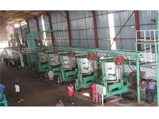 best selling palm screw oil press machine d 1688 in Nigeria