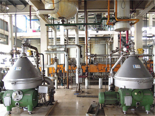 nut oil extractor palm oil mill machinery cost big in Nigeria