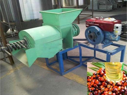 automatic palm oil press machine automatic palm oil press