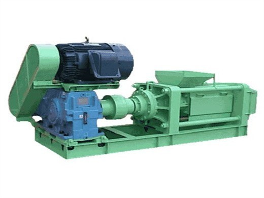 2025 big size screw cold press grape seed palm oil press machine