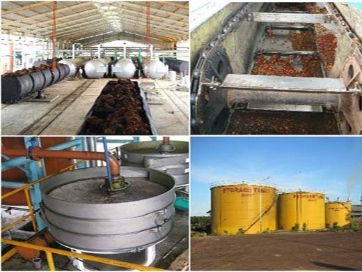 hot sell high quality Kenya palm kernel oil press in Ghana