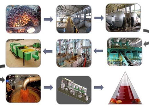 50t d continuous palm oil refining plant equipment list in Gabon