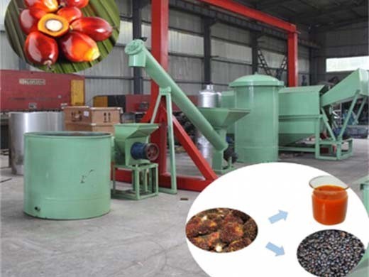 cold fpalm oil stamping machine cold fpalm oil stamping in Nigeria