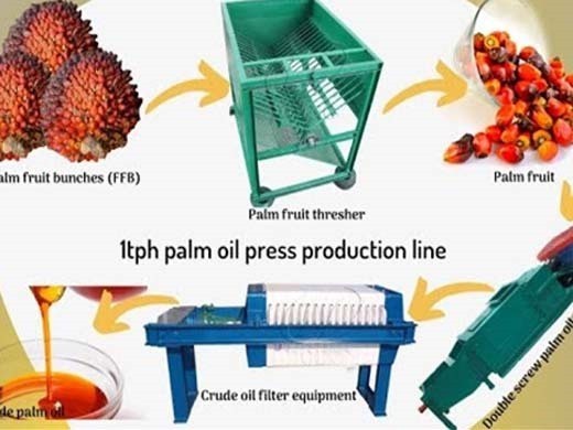 small palm oil extraction machine screw type palm in Ghana