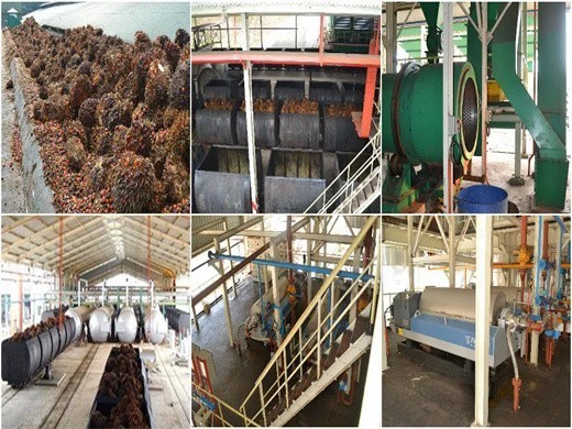 factory price 5 10tpd vegetable palm oil pressing line