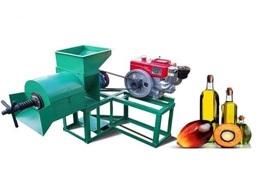 palm oil processing plant wholesale processing in Cameroon
