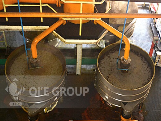 hot sale palm kernel oil seed press machine guyana in Papua New Guinea