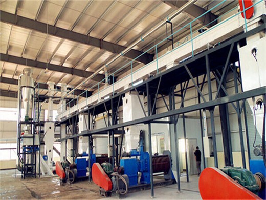 pressor niger palm oil press mill oil making machine in Ghana