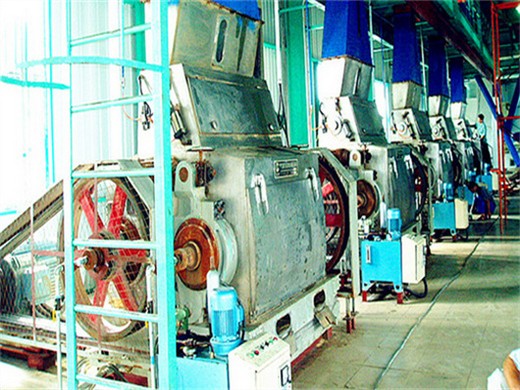 high quality walnut palm oil cold press machine detail and price