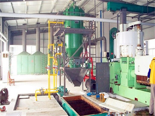 newest design palm oil production line/palm oil screw price in Ghana
